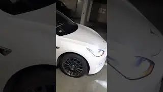 Tesla model 3 2019 (EU) lightshow