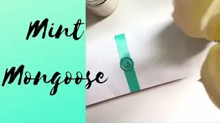 Mint mongoose July 2019 unboxing