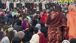 Pashto culture day tuba university malakand 