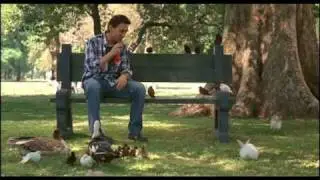 Kit Kat - Animal Lover
