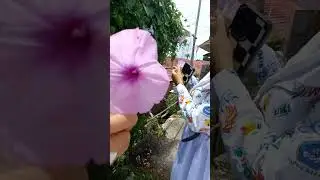 tratau tra jelas. Rabu 18 jan 2023