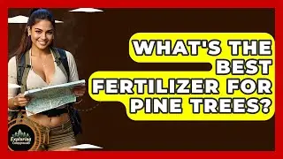What's The Best Fertilizer For Pine Trees? - Exploring Campgrounds