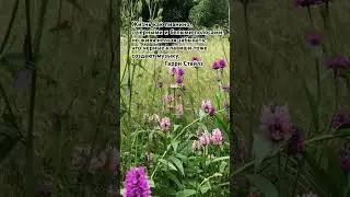 ЧЕРНЫЕ КЛАВИШИ тоже СОЗДАЮТ МУЗЫКУ #relax #гармониявприроде #nature #piano #літо