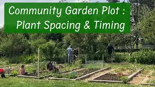 Designing Your Community Garden Plot: Essential Plot Plan Tips and Ideas
