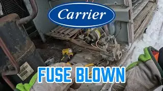 NO HEAT! Carrier Control Voltage Short