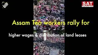 Assam Tea workers in thousands rally in Dibrugarh for higher wages & other demands, 13 Oct, 2025.