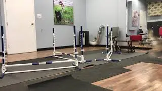 Dori 3 Jump Bend Grid & Basic Grid Dori