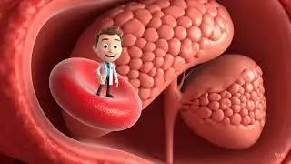 I Got SHRUNK to Microscopic Size and Accidentally INHALED Into Someone's Body!