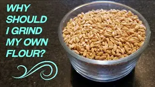 Why should you grind your own flour? /Healthy with Happy