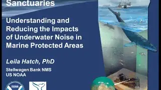 Listening to our Sanctuaries: Understanding & Reducing Impacts of Underwater Noise in MPAs