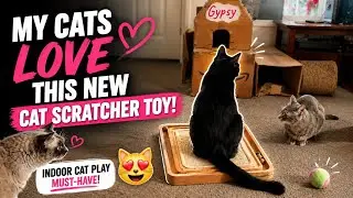 Мои кошки ОБОЖАЮТ эту новую когтеточку 😻 | Незаменимая вещь для игр кошек в помещении!