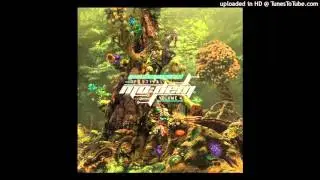 Harmonic Rebel - Sensory Amplification