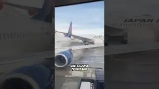 Is It Safe To Fly? 😳
