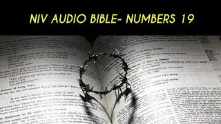 NUMBERS 19 NIV AUDIO BIBLE (with text)