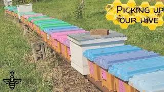 How to set up a Langstroth beehive explained ~ Step by Step Farming