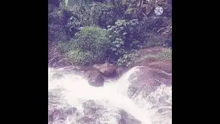 I go to arrikal waterfall in piravam with my best friend ❤