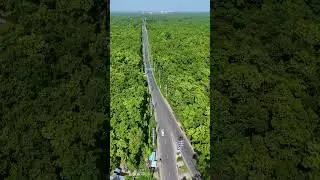 Rajendrapur, Sreepur, Gazipur  . Gazipur natural Road view Gazipur City, Bangladesh  #shortvideo