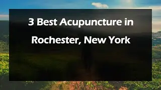 3 Best Acupuncture in Rochester, New York | Acupuncturists