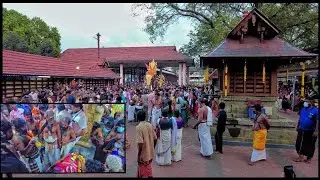 0960 🎊 എരുമേലി പേട്ടകെട്ട് 2022 🤼 ആലങ്ങാട് സംഘം 📿