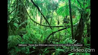 Baltimora - Tarzan Boy (PEKA non-commercial remix a tribute to Baltimora)