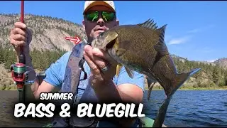 VASEUX LAKE | Fishing For Summer Bass And Bluegill.