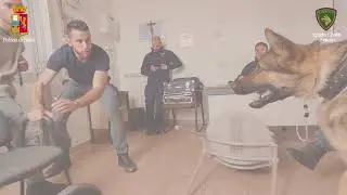 CINOFILI OK