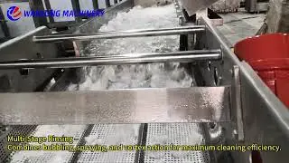 High-Speed Vortex Washing Machine for Radish | Industrial Vegetable Cleaner