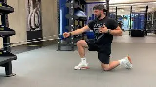 Half Kneeling Rotational Row