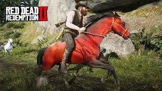 Domando o PURO SANGUE ÁRABE VERMELHO - O Domador de Cavalos - Red Dead Redemption 2