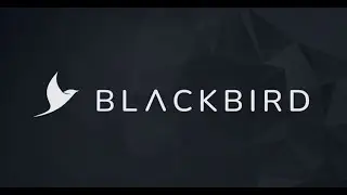 BLACKBIRD PLC - Investor Presentation