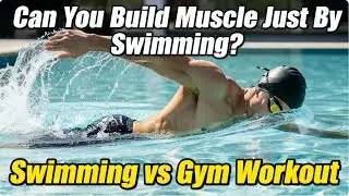 Can You Build Muscle by Swimming Alone?  Swimming or Gym for Muscle Growth?