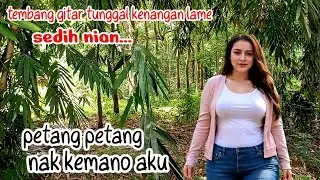 Gitar tunggal Batanghari sembilan PETANG PETANG KEMANO AKU