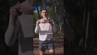 🌲 TOP zapatillas de TRAIL para conquistar tus rutas este 2026 #shorts