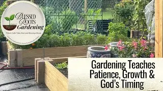 Gardening Teaches Patience, Growth & God&rsquo;s Timing