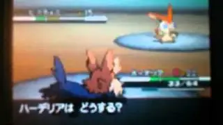 Pokemon Black Victini Battle