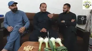 Visited at Pakistan Garlic Growers Swabi 28th April 2023