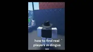 how to find real players in dingus