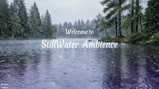 Rain on Forest Lake – Cinematic Relaxation Video