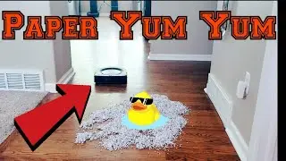 Roombas VS Shredded Paper Challenge, only one will win!!!! | Roomba s9+ and i7+