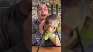 SLIMY Catfish Facts I Bet You DIDN&rsquo;T KNOW?! #shorts