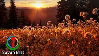 Ruben Hadland - Warm Winds (Extended Mix)