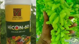 HICON=60 vanita agro