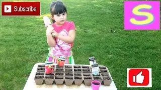 София Сеет Семена. Маленький САДОВНИК. Видео для детей