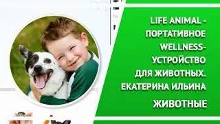 Life Animal - портативное wellness-устройство для животных. Екатерина Ильина