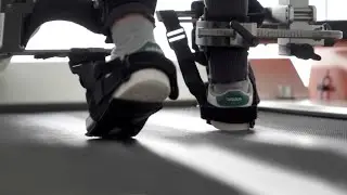 Grafeno para curar lesiones medulares