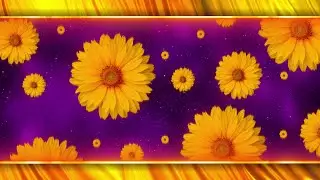 Yellow Flower Background Loop