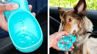 Cute Dog Gadgets And Lovely Crafts For Cats || Genius Pet Hacks That Will Make Your Life Easier