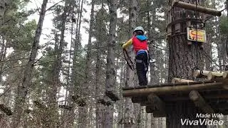 Tree adventures, Auckland