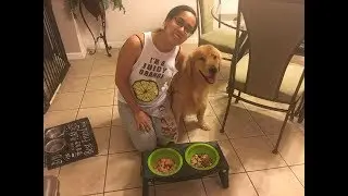 🍖Raw vs. Cooked Experiment⚗️