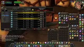 PVP , FARMING AND AQ20 SHAMAN TANK TURTLE WOW